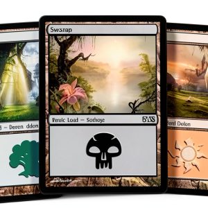 Magic: The Gathering Basic Lands 500 Card Set Complete Land Types-0